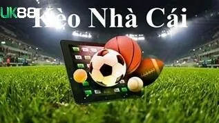 Nền tảng pháp lý vững chắc